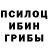 Псилоцибиновые грибы Cubensis Vasja Ran