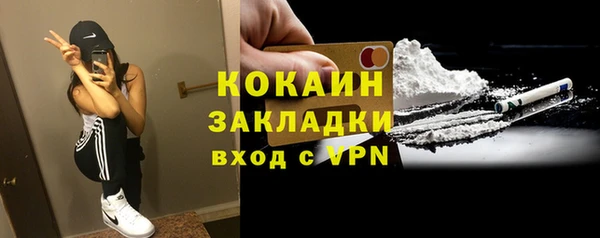 молекула духа Арсеньев