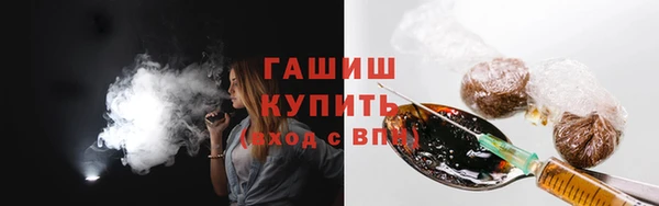 молекула духа Арсеньев