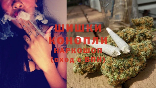 молекула духа Арсеньев