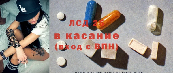 молекула духа Арсеньев