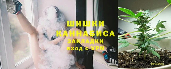 молекула духа Арсеньев