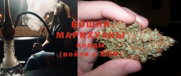 молекула духа Арсеньев