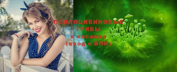 молекула духа Арсеньев