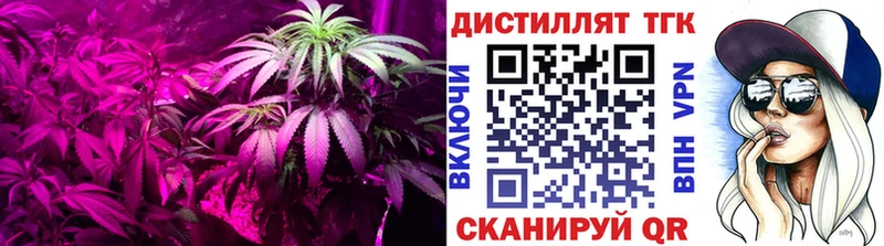 ТГК вейп  Ельня 