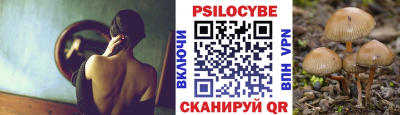 ОМГ ОМГ зеркало  Ельня  Псилоцибиновые грибы Cubensis 